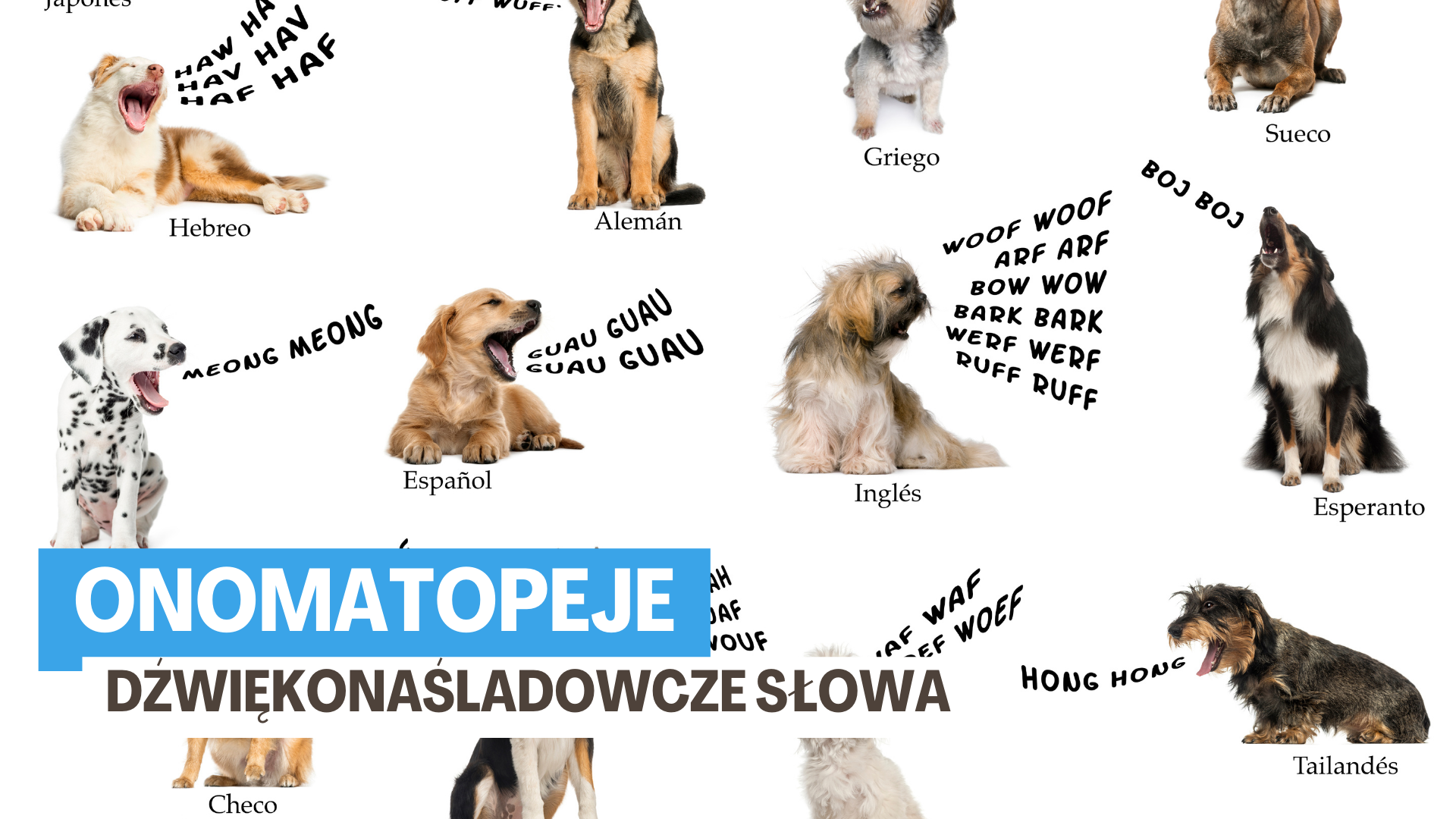 Co to są onomatopeje?