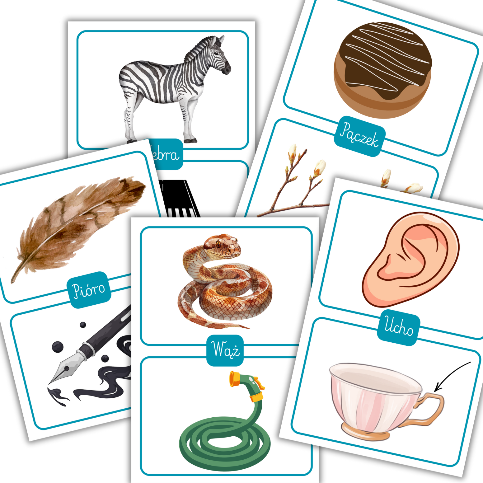 Homonimy – zestaw 40 kart edukacyjnych do nauki języka i zabawy PDF - obrazek 3